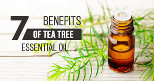 7 Benefits of a Tea Tree Essential Oil Diffuser