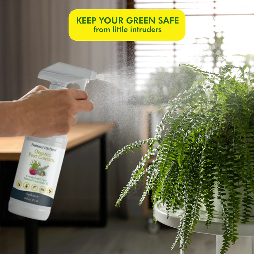 Organic Indoor Pest Control Spray Natural Riches