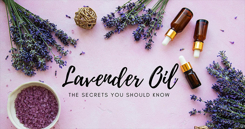 Best organic lavender essential oil – Top secrets you should know about
