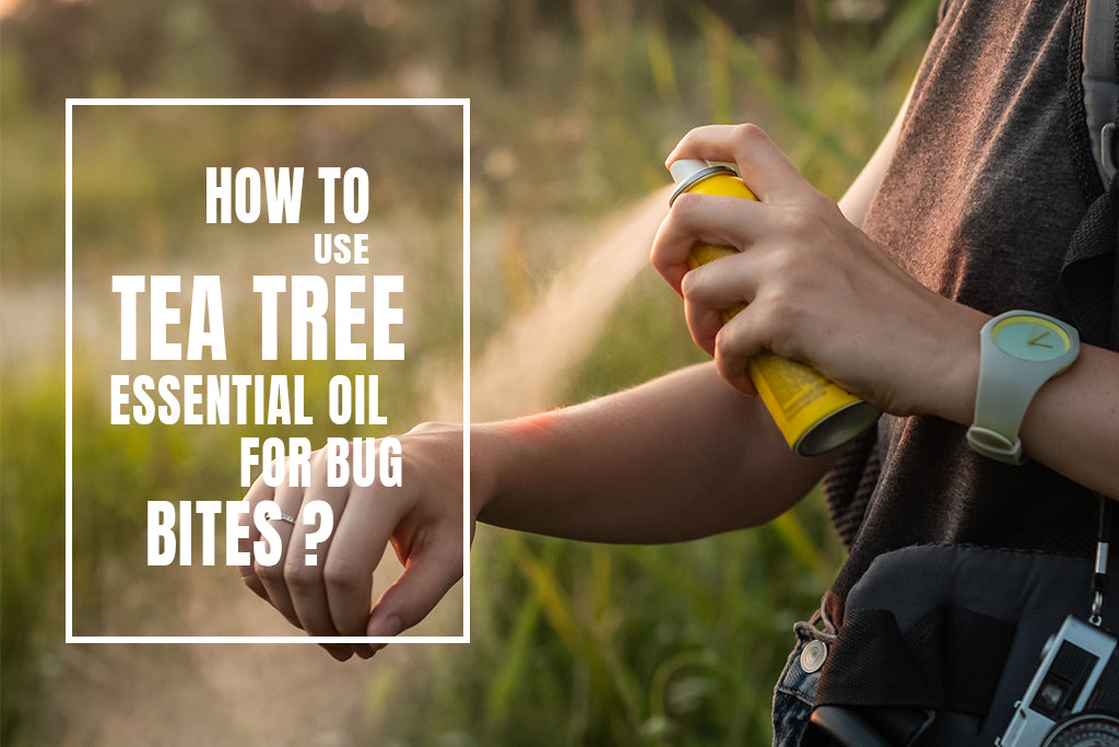 How to use tea tree essential oil for bug bites
