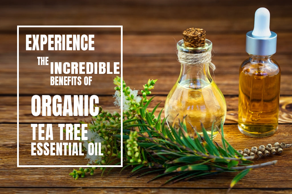 Experience the Incredible Benefits of Organic Tea Tree Essential Oil
