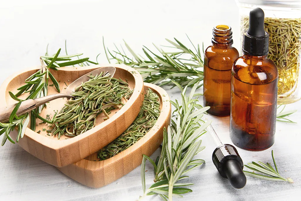 How to make rosemary oil for hair at home