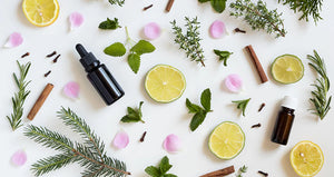 Strongest antiviral essential oil that you need to know