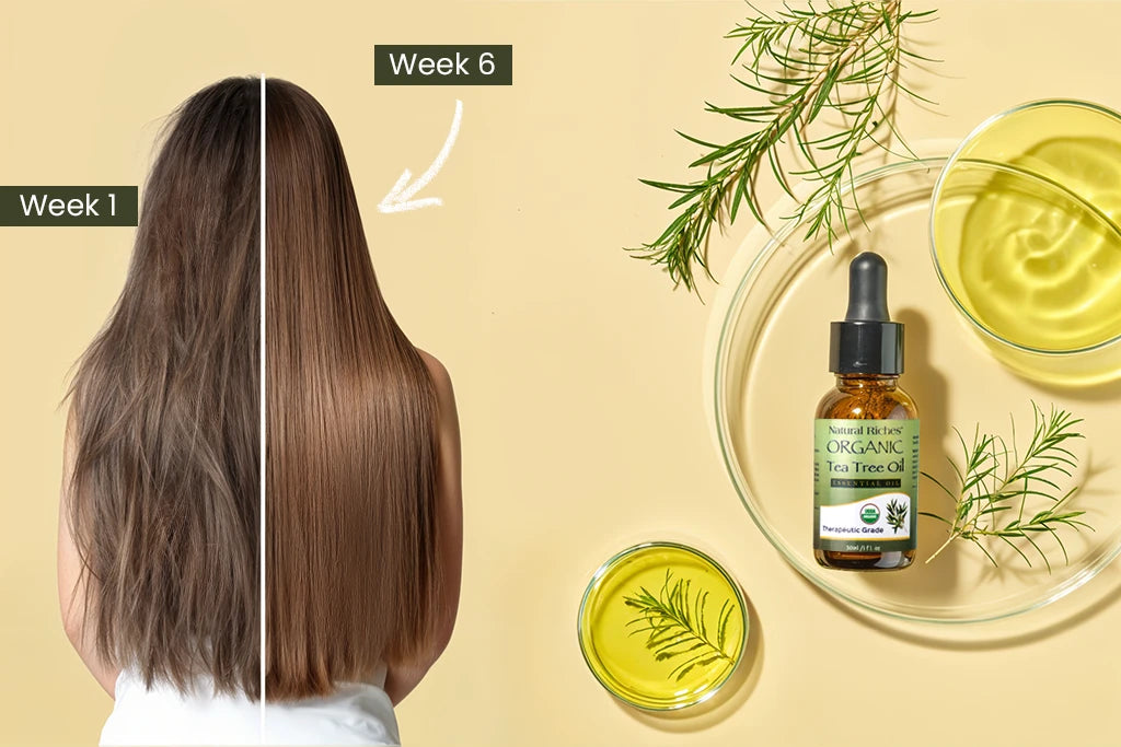 Tea tree oil for hair shining and hair treatment 