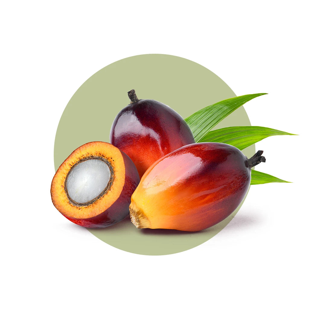 Batana Oil from  Honduras Pure & Natural Dr Sebi approved Ingredients