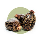 Three brown and castor seeds on a white background with a green circular object. represents organic castor oil roll on