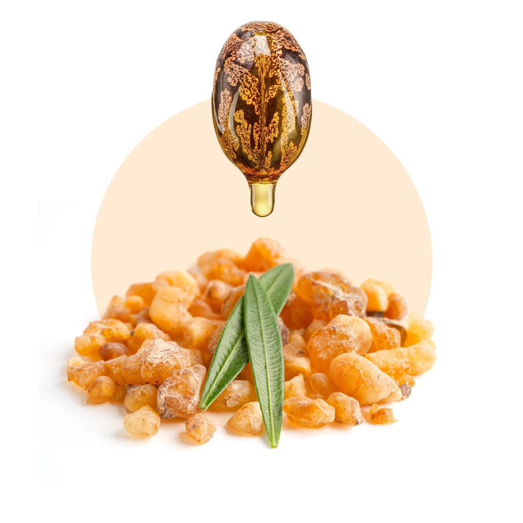 Frankincense with a drop of Castor oil on a white background