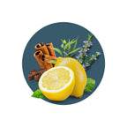 Five Guards All Purpose Household Cleaner Ingredients