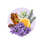 Five Guards All Purpose Household Cleaner Lavender