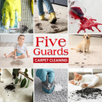 Organic Carpet Clean Solution Stain Remover for Machine and spray use by Natural Riches