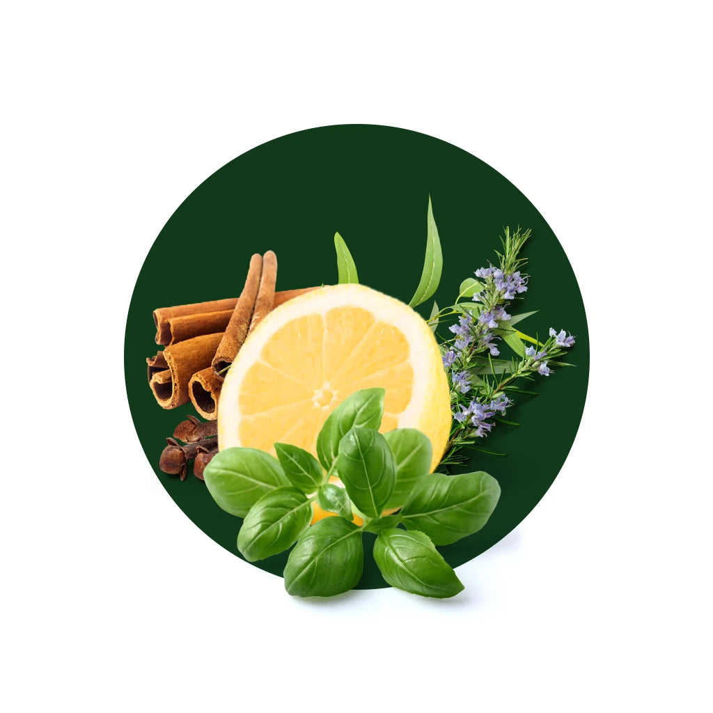 Five Guards Household Cleaner with Basil Ingredients