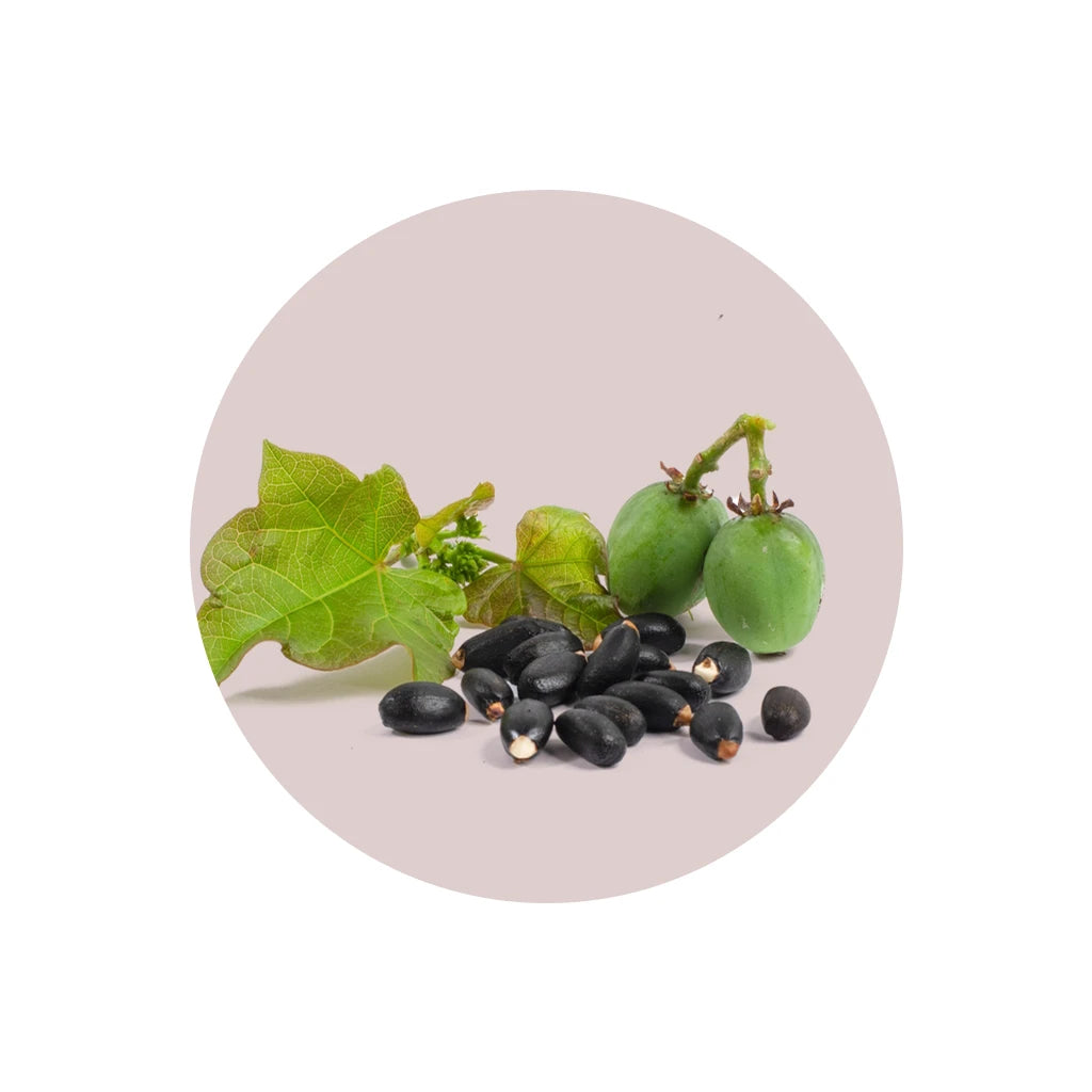 Jamaican Black Castor Oil for healthy hair growth ingredients