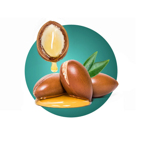 Argan seeds with oil dripping out on a green background for Argan Oil Hair Treatment