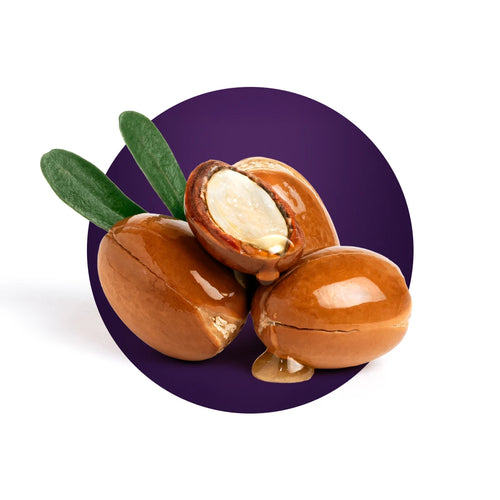 Three argan nuts with a purple circle background for Argan Oil Hair Treatment Purple