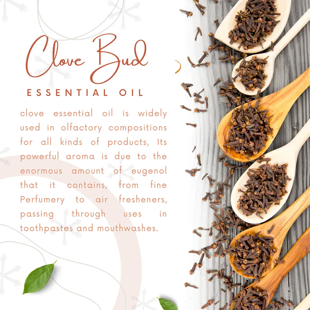 Pure Clove extract essential oil by Natural Riches