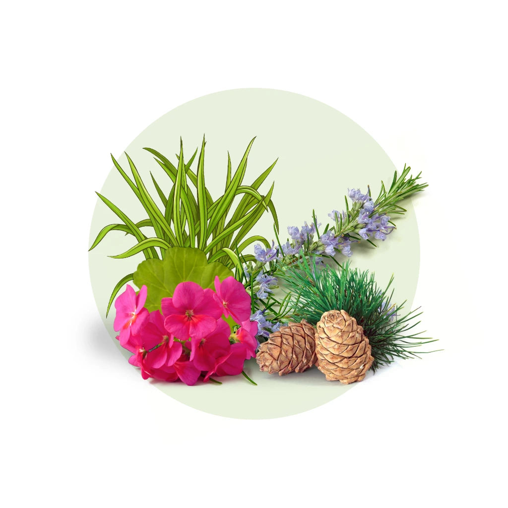 Natural Riches Organic Bug spray and indoor pest control ingredients Lemon grass, geranium, rosemary, cedarwood and citronella oil