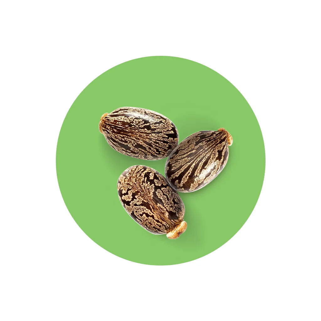 Natural Riches Organic Castor Oil Cold pressed Glass Bottle USDA certified