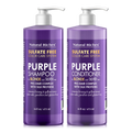Natural Riches Sulfate Free Purple shampoo and conditioner for blonde and silver hair