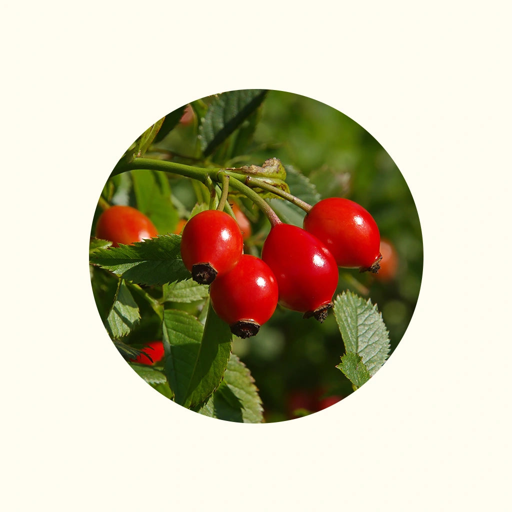 Natural Riches Rosehip Oil for beautiful skin and face care