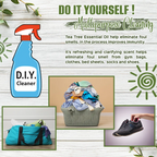 Natural Riche Pure Tea Tree Essential Oil Therapeutic Grade