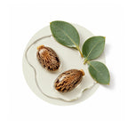 Two castor beans and three eucalyptus leaves arranged in a clear oil puddle on a white background.